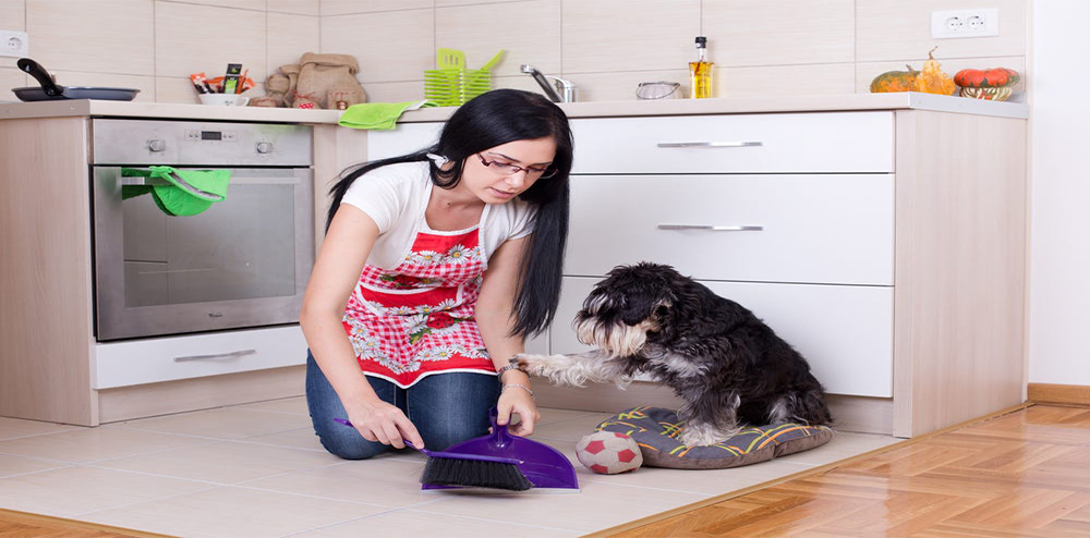 Cleaning With a Pet