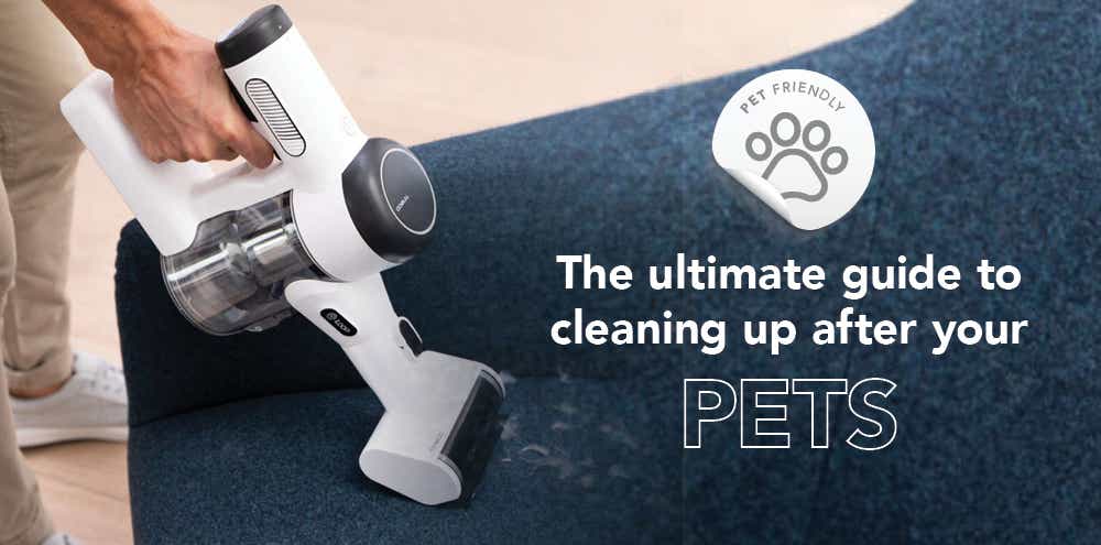 The ultimate guide to cleaning up after your pets